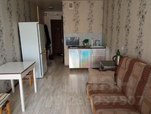 студия, 24 м², этаж 8