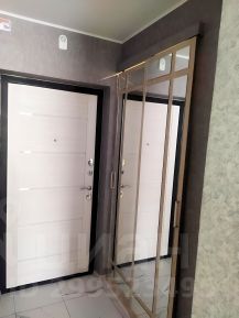 студия, 24 м², этаж 16