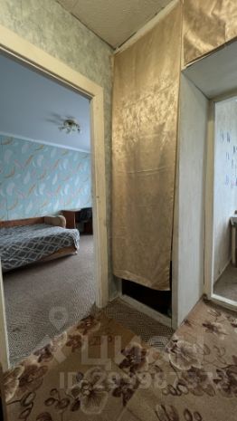 1-комн.кв., 24 м², этаж 5