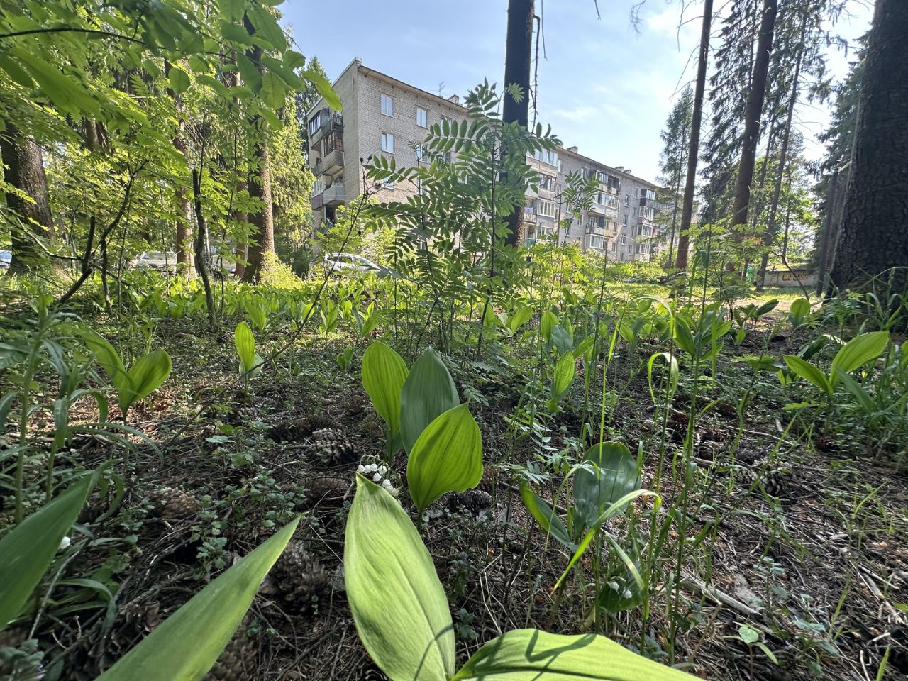 Купить 2-комнатную квартиру на улице Лубянская в городе Всеволожск, продажа  двухкомнатных квартир во вторичке и первичке на Циан. Найдено 1 объявление