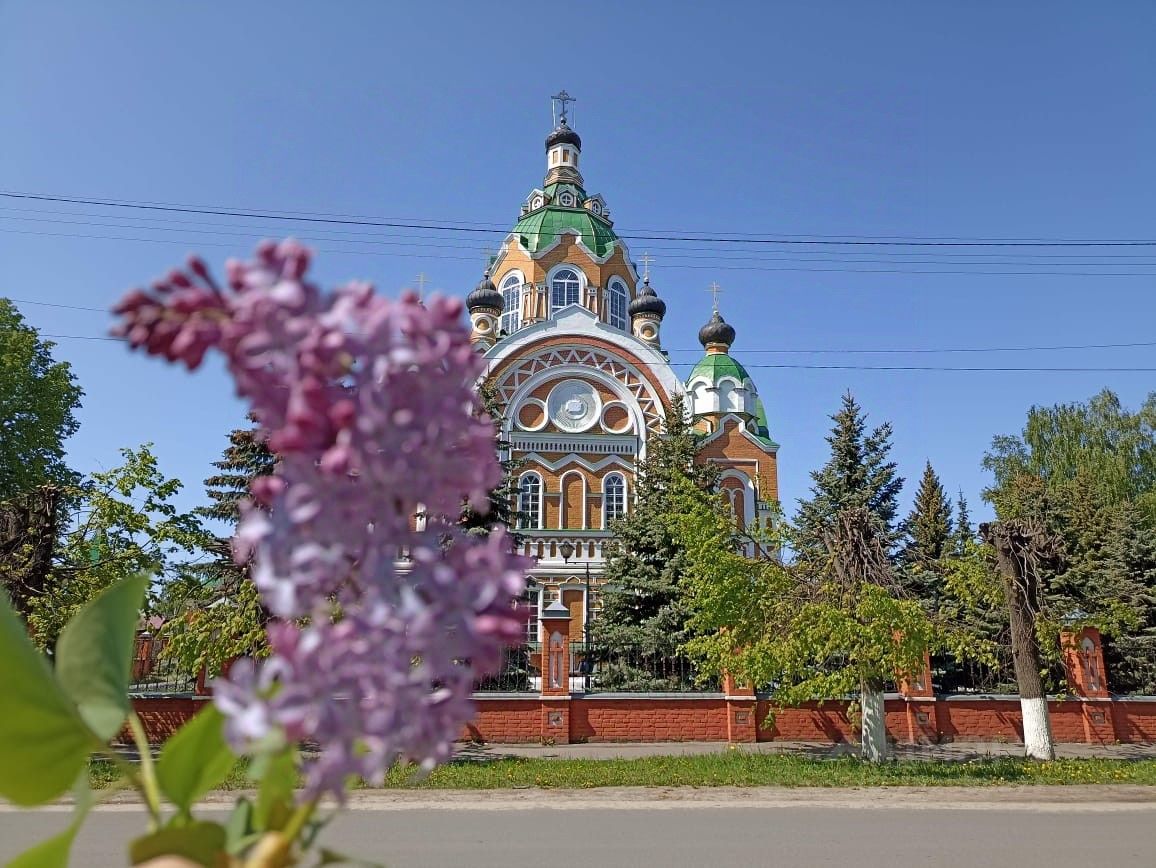 Купить квартиру эконом класса с отделкой в городском поселении Юрино  республики Марий Эл. Найдено 2 объявления.