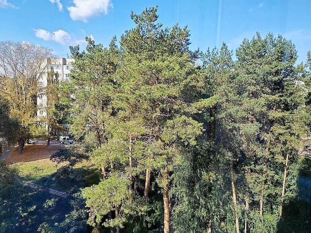 Купить двухкомнатную квартиру 62,6м² ул. Ленина, 55А, Заречный, Пензенская  область - база ЦИАН, объявление 296572803