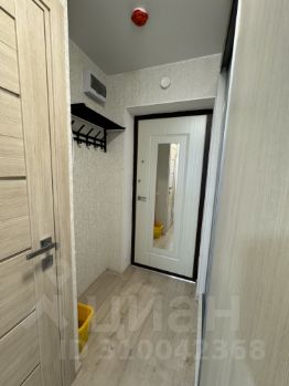 студия, 16 м², этаж 2