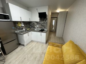 студия, 16 м², этаж 2