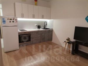 студия, 28 м², этаж 15