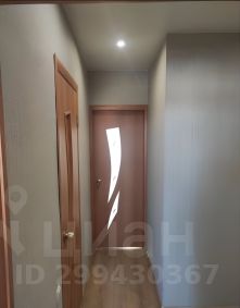 2-комн.кв., 50 м², этаж 13