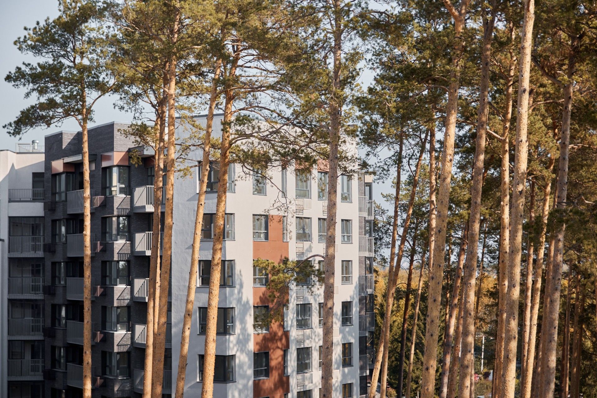 жилой комплекс Лес