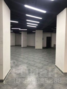 своб. назнач. 400 м², этаж -1