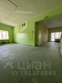 своб. назнач. 245 м², этаж 2