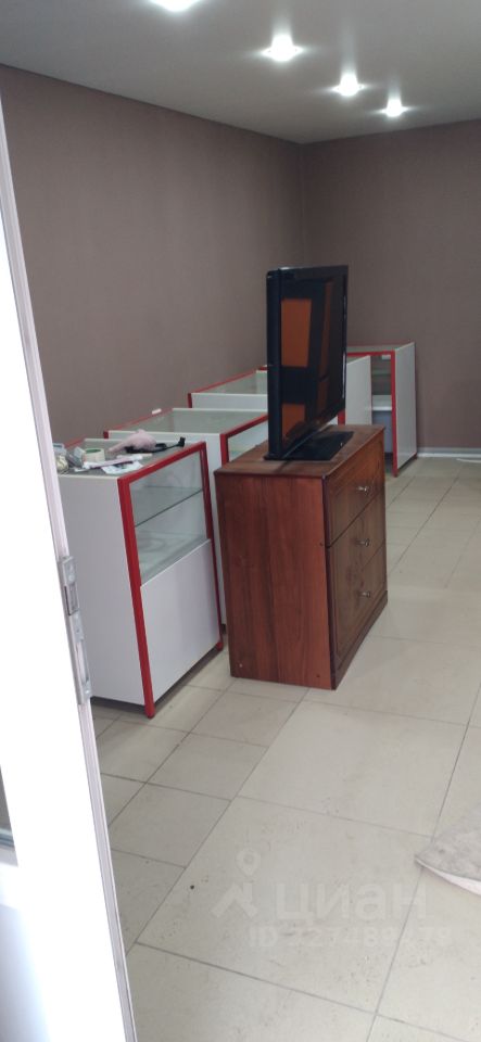 Помещение свободного назначения в Липецкая область, Елец ул. Пушкина, 20 (35 м²)