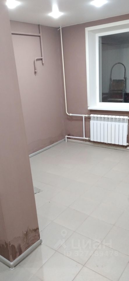 Помещение свободного назначения в Липецкая область, Елец ул. Пушкина, 20 (35 м²)