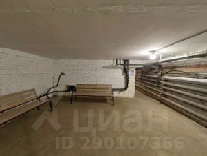 своб. назнач. 260 м², этаж -1