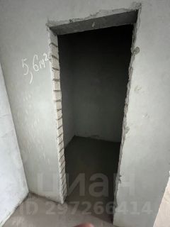 своб. назнач. 55 м², этаж 1