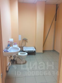 своб. назнач. 170 м², этаж 1