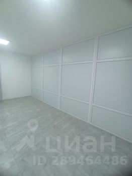 своб. назнач. 17 м², этаж 1