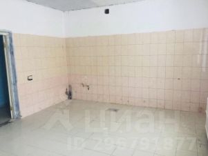 своб. назнач. 600 м², этаж 2