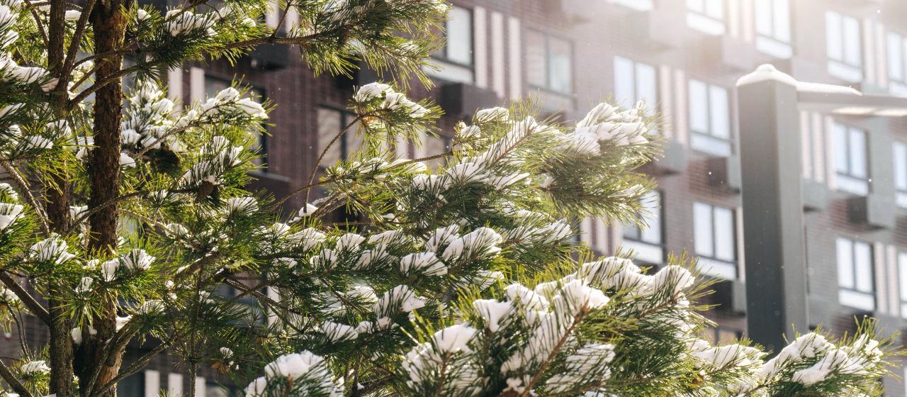 фото ЖК Никольские луга