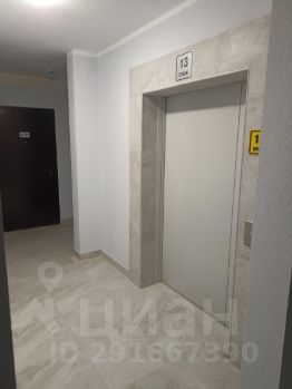 студия, 32 м², этаж 17