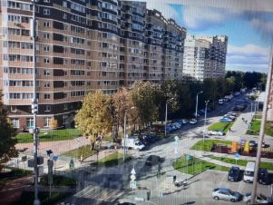 2-комн.кв., 55 м², этаж 6