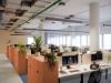 flex_office_318885017