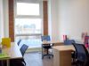 flex_office_314779955