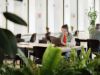 flex_office_321730920