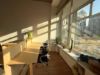 flex_office_315648225