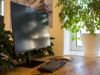 flex_office_332509113