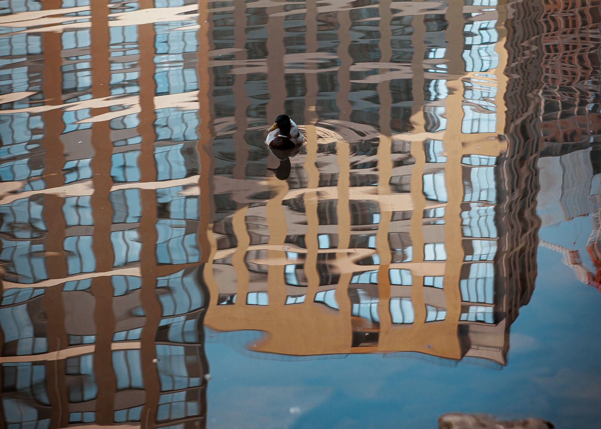 купить квартиру в ЖК Ольховский парк