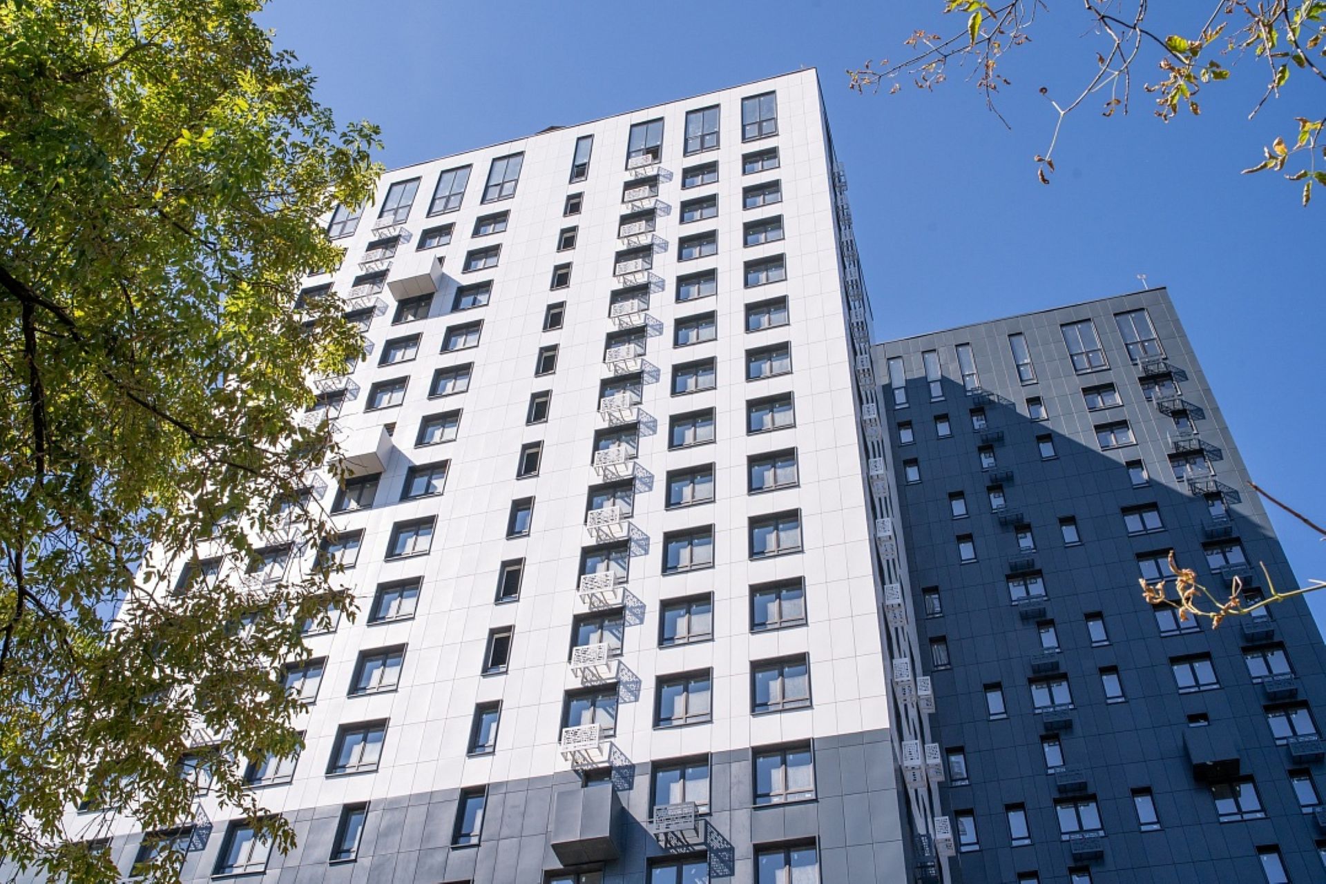 квартира в новостройке