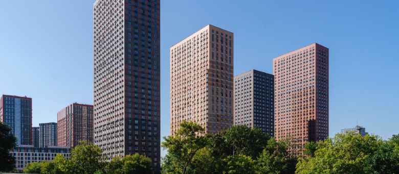 Первый Дубровский