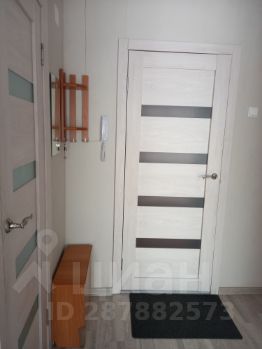 1-комн.кв., 24 м², этаж 10