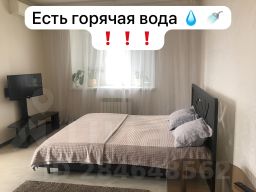 1-комн.кв., 53 м², этаж 2