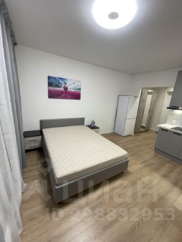 студия, 24 м², этаж 3