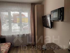 студия, 16 м², этаж 1