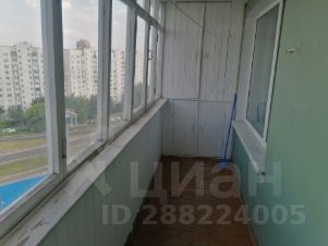 1-комн.кв., 37 м², этаж 13