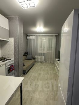 студия, 24 м², этаж 15