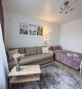 1-комн. кв 30 м2, 14/17 эт