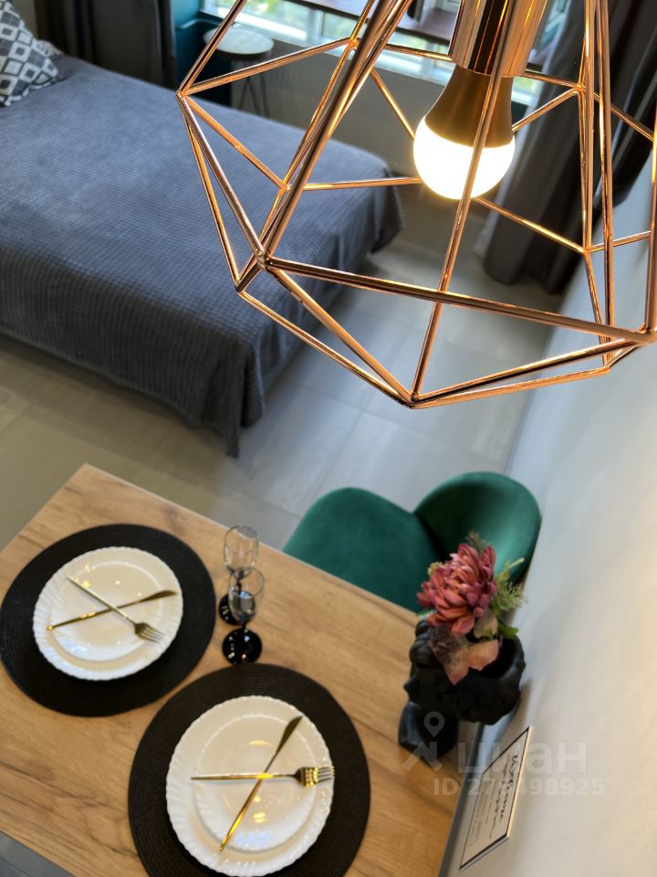 Студия Нижегородская область, Нижний Новгород ул. Максима Горького, 23А (25.0 м²)