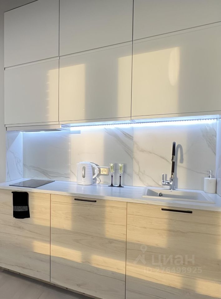 Студия Нижегородская область, Нижний Новгород ул. Максима Горького, 23А (25.0 м²)