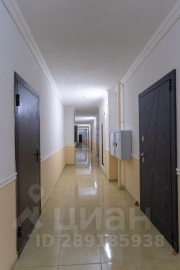 студия, 26 м², этаж 17