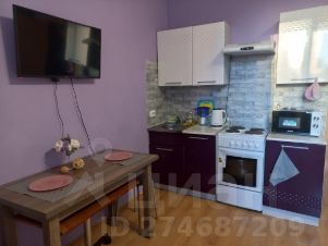 студия, 25 м², этаж 1