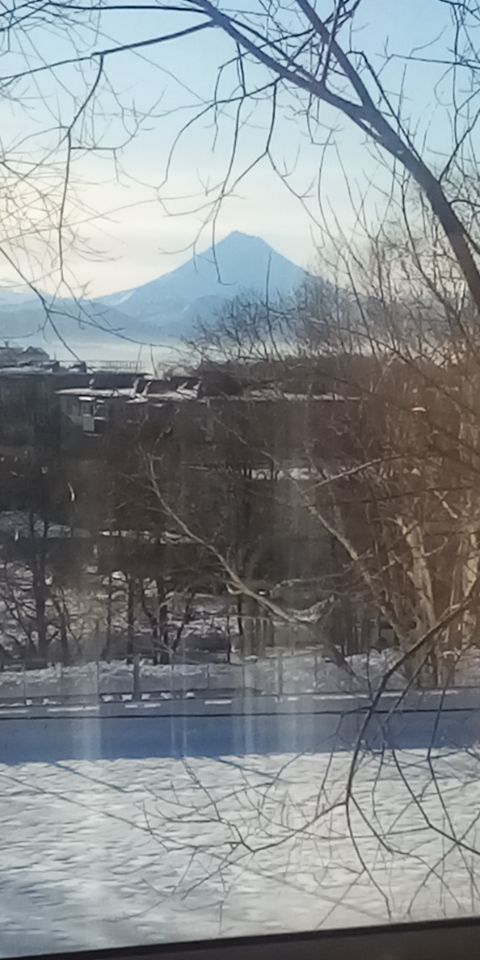 1-к кв. Камчатский край, Петропавловск-Камчатский ул. Чубарова, 5/1 (31.0 м²)