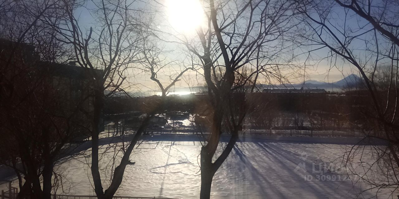 1-к кв. Камчатский край, Петропавловск-Камчатский ул. Чубарова, 5/1 (31.0 м²)