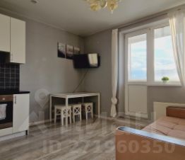 студия, 30 м², этаж 23