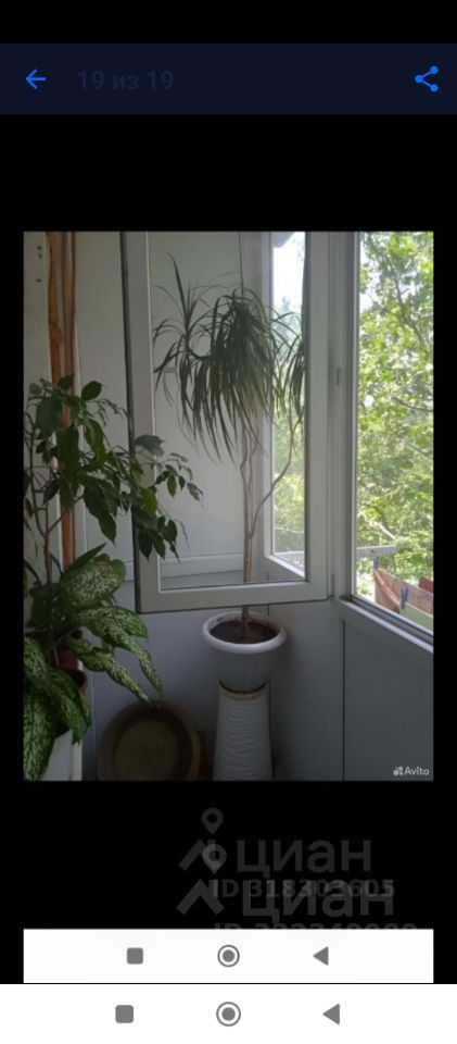 2-к кв. Крым, Саки ул. Ленина, 8 (40.0 м²)