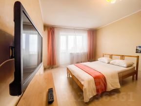 1-комн. кв 50 м2, 8/9 эт
