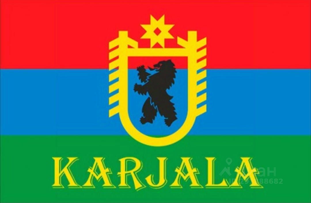 Как выглядит флаг карелии Fail:Flag of Kalevalsky District (2006-2019).svg Vikipeedia