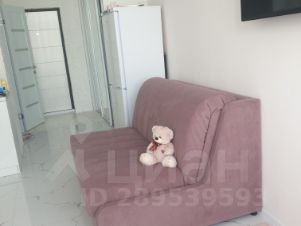 студия, 30 м², этаж 10