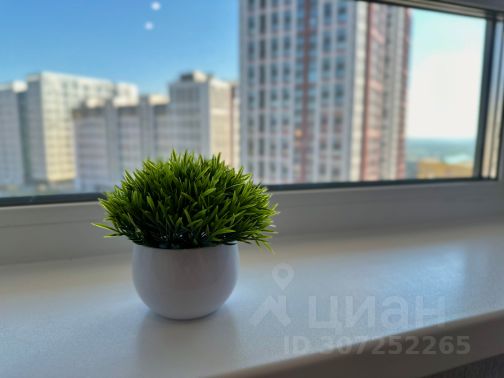 Студия, 23 м², 10/21 этаж